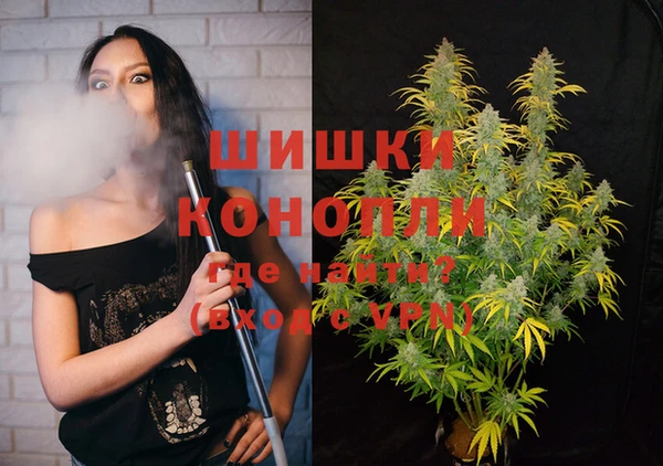 Альфа ПВП Новодвинск