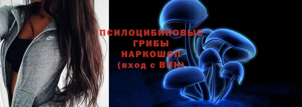 гашиш Новозыбков