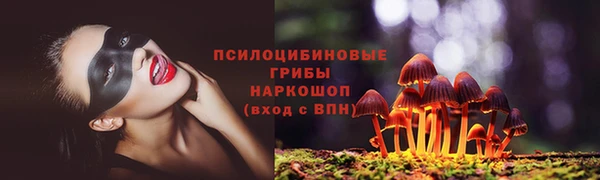 соль курить ск Няндома