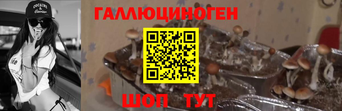 Псилоцибиновые грибы прущие грибы Полевской