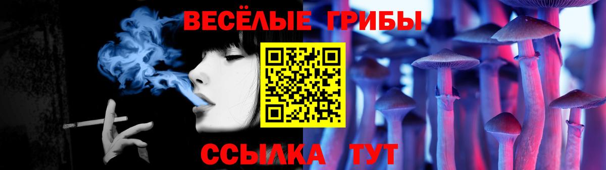 Галлюциногенные грибы мухоморы  купить наркотик  Полевской  Псилоцибиновые грибы Psilocybine cubensis  Вход с VPN 